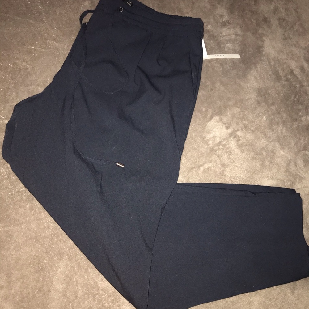 Zara deep blue pants